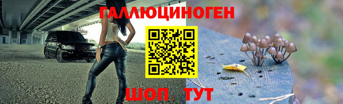 Псилоцибиновые грибы Psilocybine cubensis  Галлюциногенные грибы Psilocybine cubensis  Вход с VPN  Пыть-Ях 
