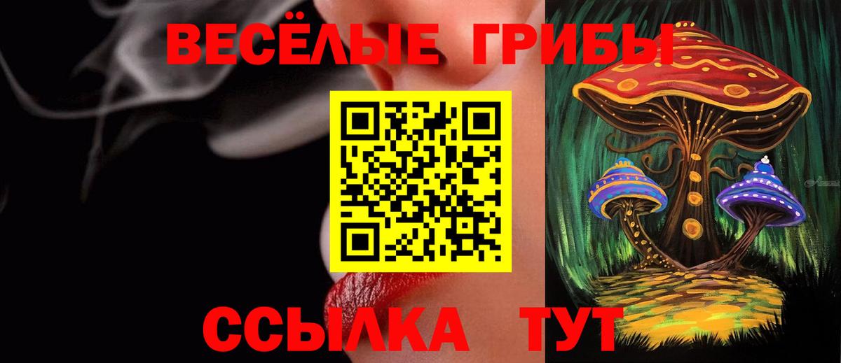 Псилоцибиновые грибы Cubensis Пыть-Ях